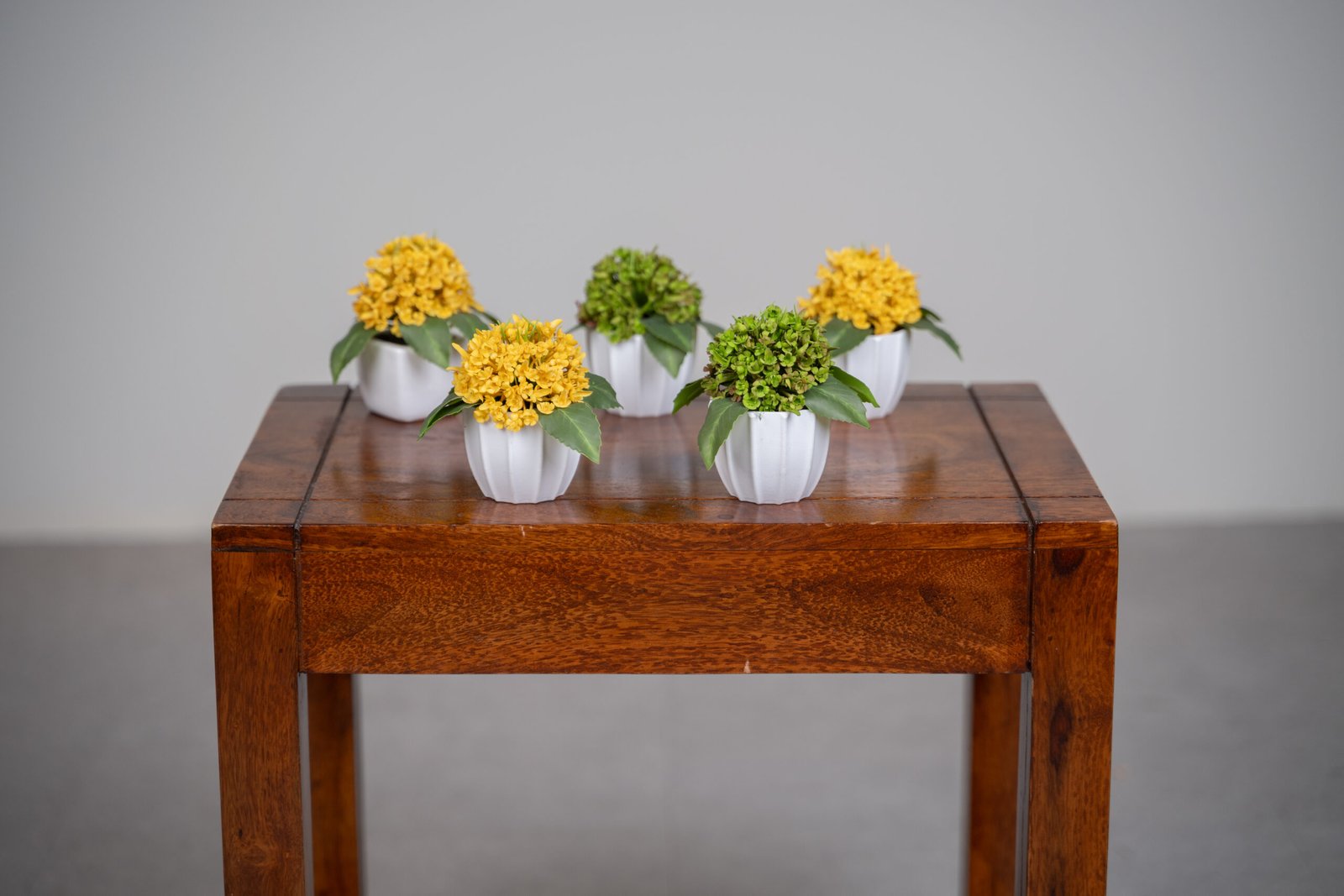 Furniture Gallery Image